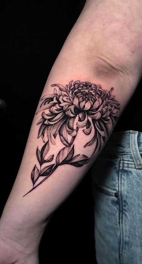 Chrysanthemum Forearm Tattoo, Traditional Chrysanthemum Tattoo, Crisanthiums Flower Tattoo, Chrysanthemum Tattoos, Thigh Tats, Black Flowers Tattoo, Thigh Tat, Ink Therapy, Tattoo Me