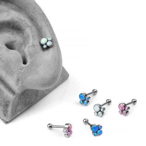 Straight barbells can go in many piercings! We've got barbells in a wide variety of styles, sizes and materials. Explore our extensive collection of straight barbell jewelry to find the perfect piece to make your piercing stand out. Link in bio to shop our barbells. . . #bodyartforms #bodyjewelry #piercings #barbelljewelry #straightbarbell Barbell Jewelry, Ear Piercings Conch, Ear Styling, Hollywood Jewelry, Cool Ear Piercings, Anodized Titanium, Cluster Design, Buddha Jewelry, Ear Chain