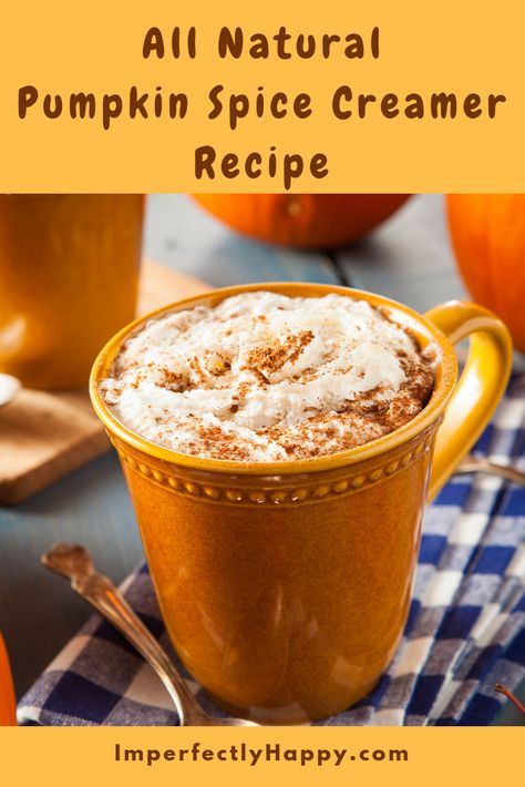 Pumpkin Spice Creamer Recipe, Pumpkin Creamer, Pumpkin Pie Latte, Healthy Pumpkin Spice Latte, Pumpkin Spice Latte Recipe, Pumpkin Spice Drinks, Pumpkin Spice Creamer, Homemade Pumpkin Spice Latte, Pumpkin Spiced Latte Recipe