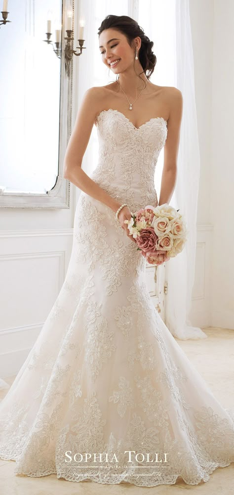 Sophia Tolli Wedding Dresses, Wedding Gown Gallery, Strapless Lace Wedding Dress, Mon Cheri Bridal, Simple Lace Wedding Dress, Strapless Wedding Dresses, Flare Wedding Dress, Sophia Tolli, Fit And Flare Wedding Dress