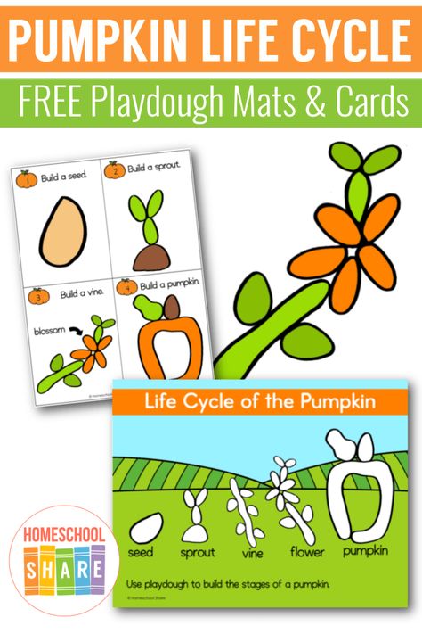 Pumpkin Life Cycle Playdough Mats – Homeschool Share Pumpkin Life Cycle Kindergarten, Life Cycles Preschool Activities, Toddlers Learning Activities, Pumpkin Playdough, Preschool Playdough, Life Cycles Preschool, Arctic Animals Crafts, Homeschool Units, Apple Life Cycle