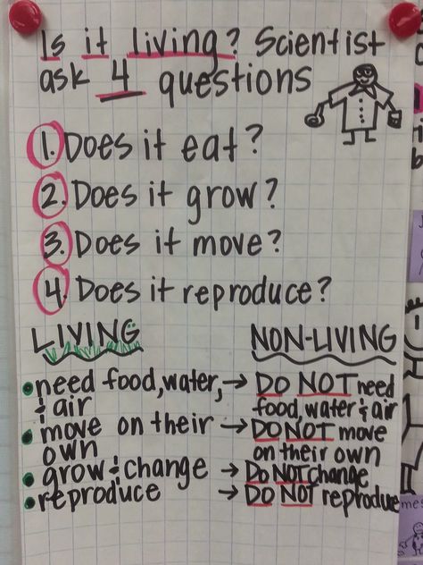 Living Nonliving Anchor Chart, Living Vs Nonliving Preschool Activities, Living Non Living Activities Preschool, Living And Nonliving Anchor Chart, Living Vs Non Living Activities Preschool, Living Vs Non Living Anchor Chart, Living And Non Living Things Anchor Chart, Living And Nonliving Preschool, Living Nonliving Activities