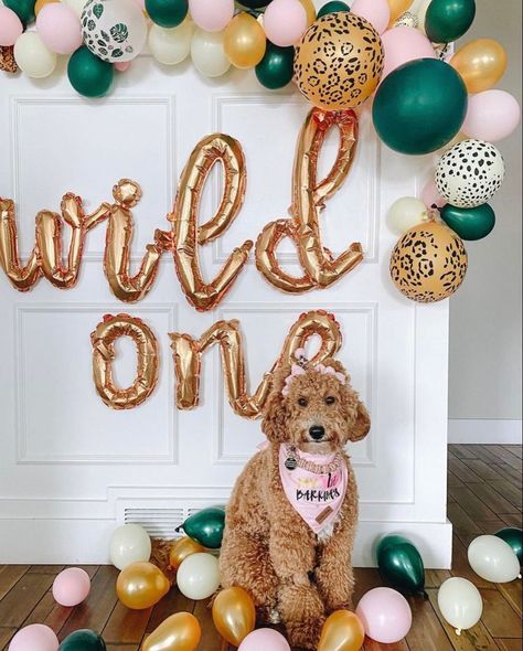 Wild One Dog Birthday, Birthday Party For Dogs Ideas, First Birthday Dog, Dog Birthday Photoshoot, Dog Birthday Pictures, Doggy Birthday, Sparkle Birthday Party, Puppy Pawty, Dog First Birthday