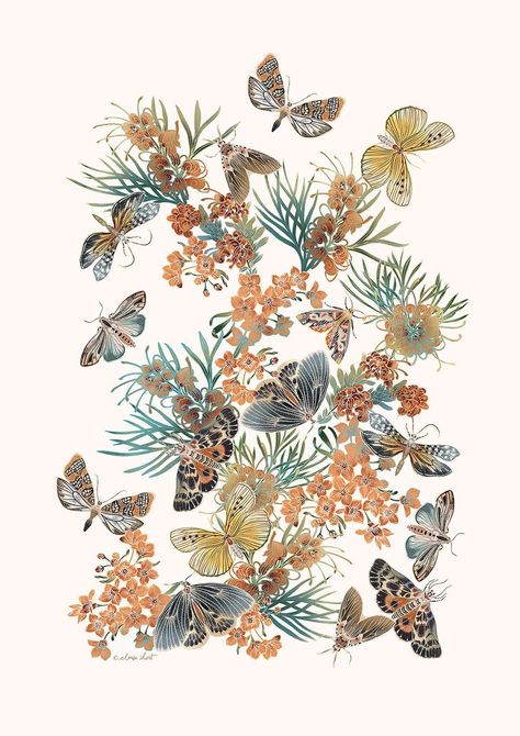 Wall Art — Giclee Australian Native Art Prints, Magnetic Poster Hangers, Digital Illustration Resources. — Eloise Short Design Drawing Light, Blue Mountains Australia, Australian Fauna, Wall Art Drawing, Skull Sleeve Tattoos, Australian Natives, Illustration Studio, Autumn Illustration, Australian Flora