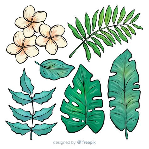 Rainforest Drawing, Leaf Drawing Easy, Stencil Flowers, Png Brush, Surfboard Painting, Tropical Leaves And Flowers, Theme Carnaval, Hawaiian Leaf, Beach Illustration