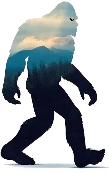 Bigfoot Illustration, Bigfoot Encounters, Bigfoot Pictures, Eagle Artwork, Bigfoot Art, Finding Bigfoot, Wood Burning Stencils, Classic Halloween Costumes, Bigfoot Sasquatch