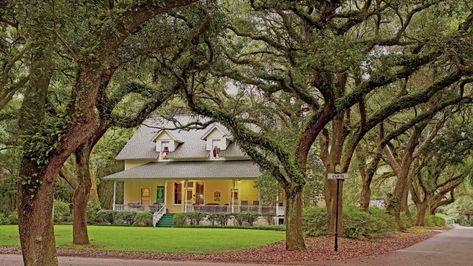 Oyster House, Gulf Shores Alabama, Ropes Course, Southern Homes, Orange Beach, Gulf Shores, Water Views, Best Places To Eat, Southern Living