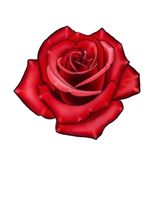 Red Roses Drawing, Red Roses Tattoo Design, Rose Flower Art Drawing, Red Rose Tattoo Design, Red Roses Tattoo, Red Rose Drawing Easy, Red Outline Rose Tattoo, Red Rose Drawing Sketch, Red Rose Drawing