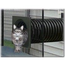 Katt Diy, Cat Habitat, Katt Grejer, Cat Fence, Cat Pen, Cat Patio, Outdoor Cat Enclosure, Cat Run, Outdoor Cat House