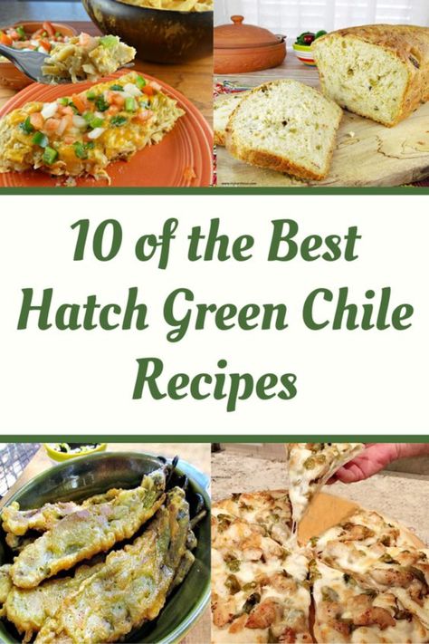 Hatch Green Chile Recipes are absolutely our favorite recipe collection here at the ranch. We have some kind of Mexican food several times a week and most of our Mexican food recipes contain Hatch Green Chiles. #HatchGreenChileRecipes #HatchGreenChile #GreenChile #GreenChileRecipes #MexicanFood #MexicanChile #myturnforus Roasted Green Chiles, Eggs And Green Chiles, Hatch Chili Relleno Casserole, Hatch Chilies Recipes, Roasted Hatch Green Chili Recipes, Roasted Hatch Chili Recipes, New Mexico Hatch Green Chili Recipes, Fresh Hatch Green Chile Recipes, Hatch Chili Recipes Dinners