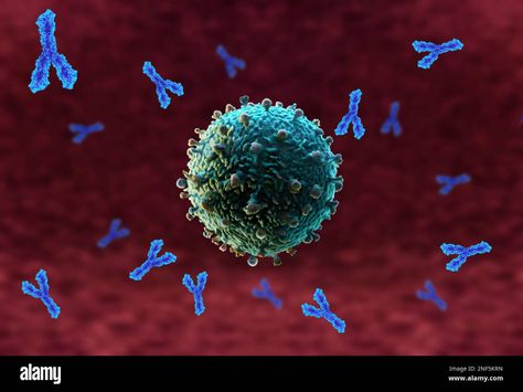 Antibodies attacking a virus Stock Photo Types Of Blood Cells, Essential Tremors, Reverse Aging, New Scientist, White Blood Cells, Heart Problems, Chronic Inflammation, Blood Cells, Health Check