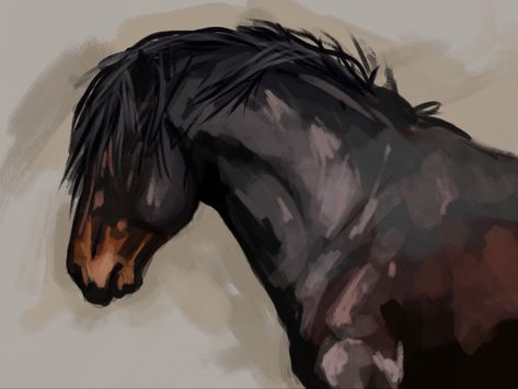 Digital Sketch, Horse Drawing, Wild Horse, Sketch Painting, The Beauty, Digital Art, Sketch, Illustrations, Beauty