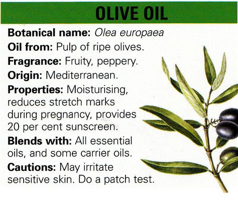 Olive Oil Magical Properties, Olive Oil Witchcraft, Oil Magical Properties, Alchemist Kitchen, Hoodoo Herbs, Country Pantry, Herbal Guide, Botanical Medicine, Oil Witchcraft