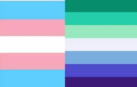 Trans and gay man flag Trans Flag, Gay Flag, Lgbtq Flags, Flag Icon, Lgbt Art, Lgbtq Pride, Lgbt Pride, Fantasy Clothing, Pride Flags