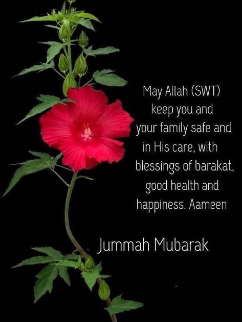 Jumuah Quotes, Jummah Mubarak Messages, Juma Mubarak Images, Jumuah Mubarak Quotes, Jumuah Mubarak, Jumah Mubarak, Jumma Mubarak Beautiful Images, Jumma Mubarak Quotes, Happy Birthday Husband