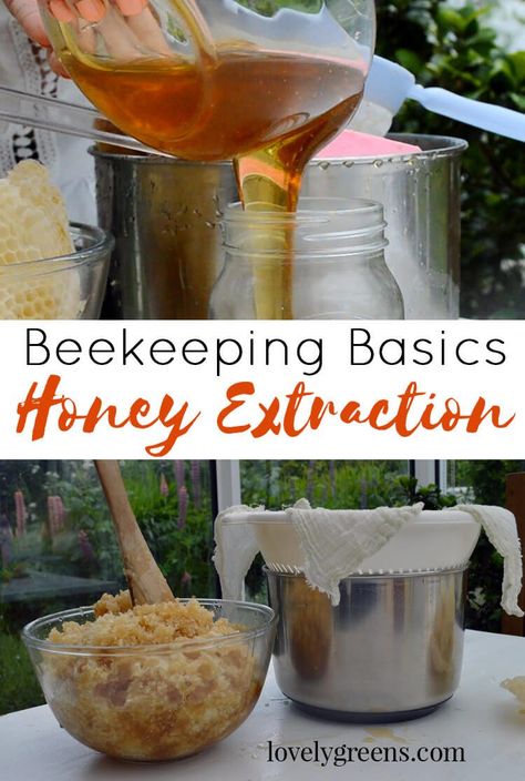 Backyard Bees, Harvesting Honey, Composting 101, Backyard Bee, Beekeeping For Beginners, Raising Bees, Backyard Beekeeping, Bee Farm, Bee Keeper