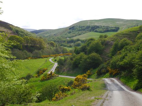 The Cheviot Hills Cheviot Hills, England And Scotland, Rolling Hills, Scotland, Take A, Country Roads, England, Range, Road