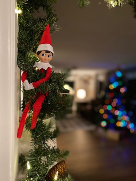 Elf Hunt, Shelf Garland, Paper Chain Garland, Elf Shelf, Paper Chain, Paper Chains, Elf On Shelf, Elf Ideas, Elf On A Shelf