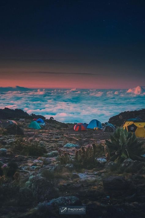 Climbing Mount Kilimanjaro was one of the most physically challenging experiences of our lives. We are going to tell you exactly what to expect when climbing Mount Kilimanjaro from landing at the airport to reaching the summit. | Blog by the Planet D | #Travel #Kilimanjaro #Africa #Trekking | kilimanjaro climb | kilimanjaro mountain | climbing mt kilimanjaro Kilimanjaro Mountain, Kilimanjaro Climb, Mt Kilimanjaro, Tanzania Travel, Mountain Images, Kenya Safari, Mount Kilimanjaro, Safari Tour, Mountain Climbing