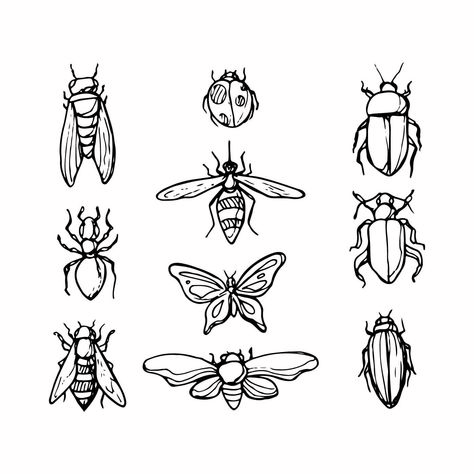 Insect Drawing Aesthetic, Insect Drawing Sketchbooks, Insects Doodle, Insect Template, Insects Sketch, Bug Sketches, Insects Drawings, Insect Drawings, Insects Illustration