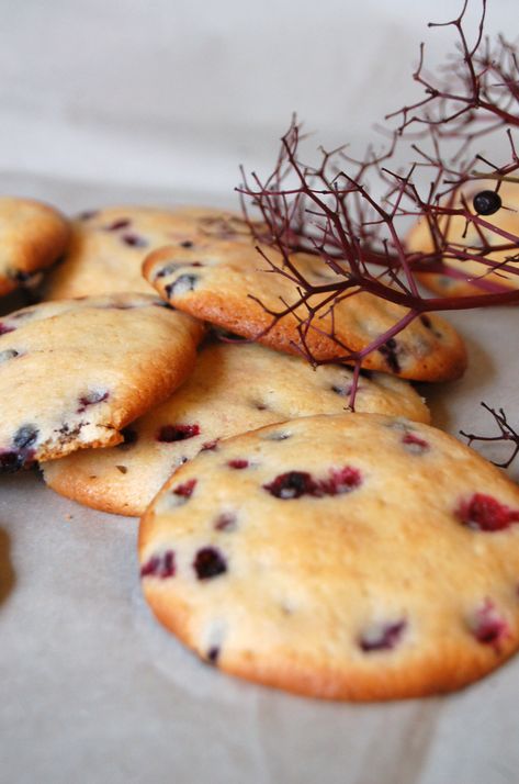 ELDERBERRY COOKIES — COOKING LIKE A FOX Elderberry Uses, Herb Diet, Berry Cookies, Hummingbird Bakery, Elderberry Recipes, Cookie Deserts, Foraging Recipes, Baking Kitchen, Fox Cookies