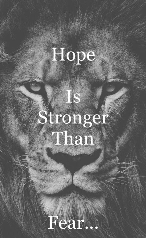 Hope Is Stronger Than Fear, Lion Quotes Inspiration Strong, Hope Word Art, There Is Always Hope, Leo Quotes, Lion Quotes, Lion Love, Strong Mind Quotes, Strong Mind