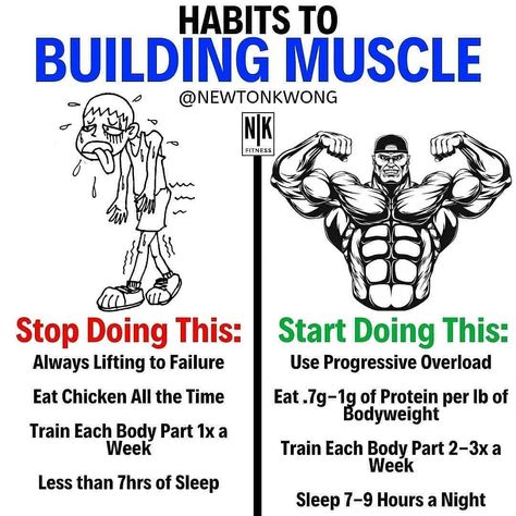 Healthy fitness🏋️🏋️ on Instagram: “MUSCLE GROWTH HABITS ⠀⠀⠀⠀⠀⠀⠀⠀⠀ There are many misconceptions when it comes to building muscle.  Most of us have been conditioned to believe…” Muscle Growth Workout, Fast Muscle Growth, Compound Movements, Workout Program Gym, Heavy Weights, Partner Workout, Building Muscle, Body Weight Training, Muscle Growth