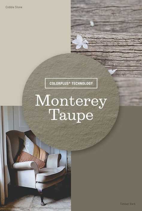 Versatile Monterey Taupe! House Siding Colors, James Hardie Siding Colors, Siding Colors For Houses, Outside House Colors, Exterior House Siding, Tile Colors, James Hardie Siding, Taupe Paint, Hardie Siding