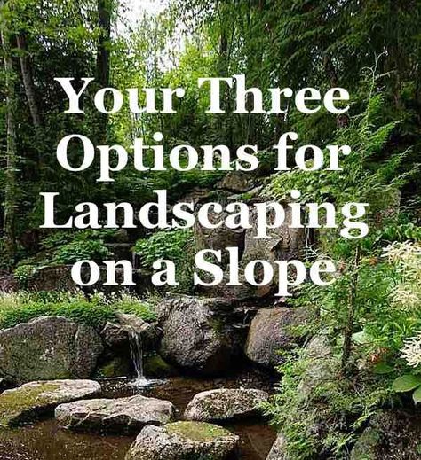 Terraces Landscaping Sloped Yard, Landscaping A Hill Backyard, Garden Design Steep Slope, Two Tiered Backyard Landscaping, Landscape Down A Hill, Sloping Gardens Ideas, Landscaping A Bank Ideas, Landscaping Slopes Low Maintenance, Landscaping For Steep Banks