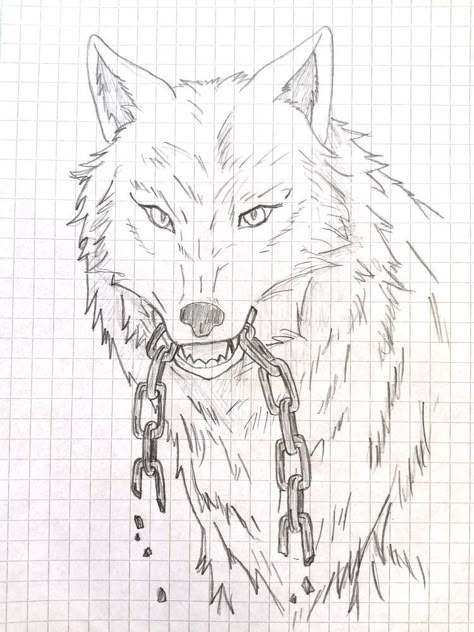 Wolf Drawing Sketch, Cool Wolf Drawings, Human Base Drawing, Wolf Drawing Easy, Animal Design Tattoo, Cool Wolf, Wolf Drawings, Wolf Sketch, Disney Drawings Sketches