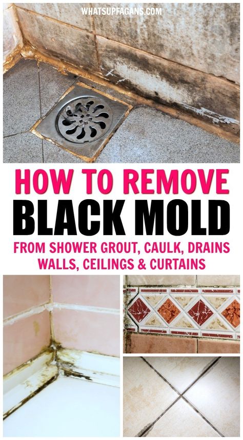 Black Mold In Shower, Remove Black Mold, Shower Grout, Clean Hacks, Homemade Toilet Cleaner, Deep Cleaning Hacks, Black Mold, Cleaning Painted Walls, Glass Cooktop