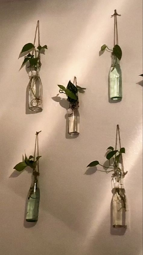 Hanging Plants In Bottles, Glass Bottle Plants Ideas, Bedroom Diy Decor, Simple Living Room Decor, Plants In Bottles, Easy Room Decor, Small Room Design Bedroom, Plant Medicine, Cute Diy Room Decor