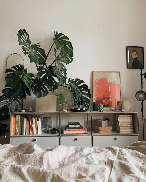 Shelf Decor Bedroom Aesthetic, Apartment Living Room Design, Studio Apartment Decorating, Pretty Bedroom, Decoration Inspiration, Apartment Decor Inspiration, Contemporary Bedroom, Apartment Living Room, Cozy Bedroom