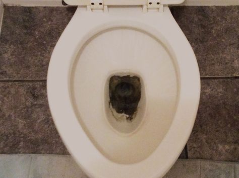 Learn how to remove stains from the toilet bowl.                              … Clean Black Mold, Clean Toilet Bowl Stains, Toilet Bowl Stains, Toilet Stains, Black Mold, Mold In Bathroom, Clean Toilet Bowl, Cleaning Painted Walls, Black Toilet