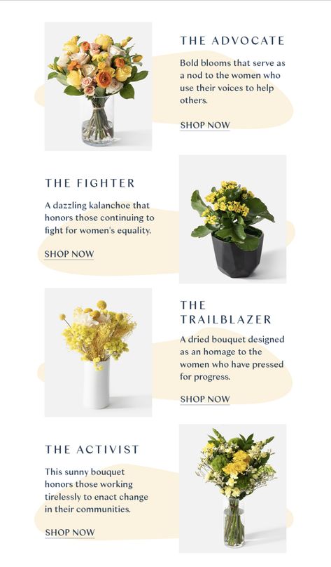 Flower Infographic Design, Florist Website, Brand Profile, Email Inspiration, Email Marketing Design Inspiration, Flower Branding, Email Design Inspiration, Email Marketing Design, Dried Bouquet