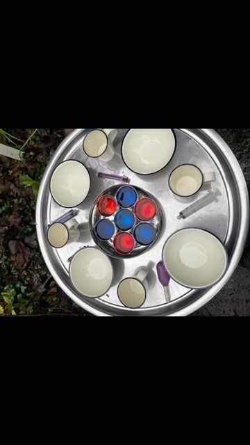 Sam Goldsworthy Childminding on Instagram: "What better thing to do on a rainy day but to explore a colouring changing water tray inspired by the Smeds and the Smoos. Ours love a water tray so adding pots of red and blue water for them to explore using pipettes and syringes strengthening their finer motor skills and discussing what happened to the colours was an invitation to keep them engaged. Have you done any Smeds and Smoos play if so please use our hashtag #samgoldsworthychildmindingpla Smeds And The Smoos, Childminding Ideas, Water Tray, Pipettes, Water Play, On A Rainy Day, Pirate Theme, A Rainy Day, Head Start