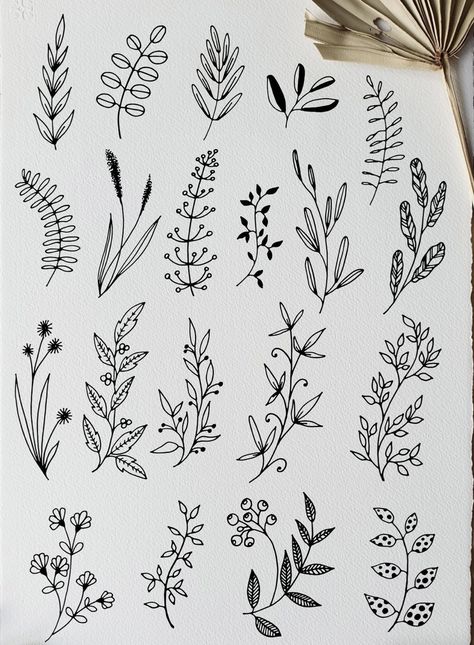 Greenery Line Art, Simple Foliage Drawing, Greenery Drawing Simple, Easy Plant Drawings For Beginners, How To Draw Ferns, Botanical Line Drawing Step By Step, Leaf Drawing Aesthetic, Flower Leaves Drawing, Vines Drawing Simple