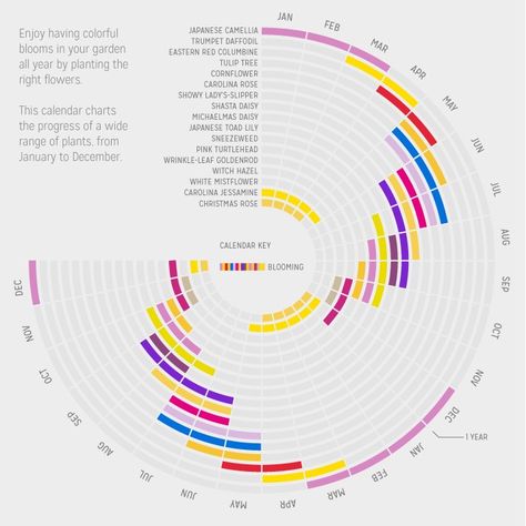 What is better than the beautiful blooms of spring? Luckily, the time is near! Some flowers can actually be found in bloom year round. Bloom Time Chart, Bloom Calendar, Color Calendar, Plumbing Materials, Flower Blooming, Data Visualization Design, Garden Calendar, Planting Plan, Flower Guide