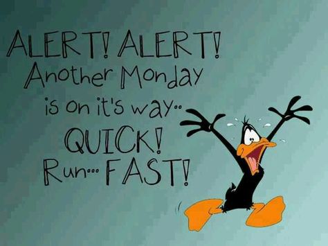 Monday message. Comment. Status. Daffy Duck. Looney Tunes Cartoons Daffy Duck Quotes, Duck Quotes, Happy Monday Quotes, Over It Quotes, Another Monday, I Hate Mondays, Hate Mondays, Weekday Quotes, Monday Humor