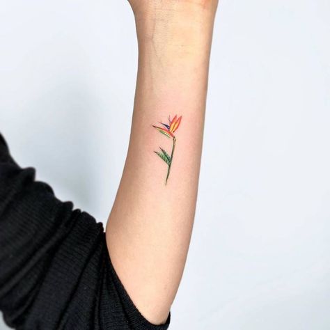 pinterest: hezzprice Bird Of Paradise Tattoo, Pastel Tattoo, Simple Flower Tattoo, Paradise Tattoo, Paradise Plant, Single Needle Tattoo, Foot Tattoos For Women, Landscape Tattoo, Plant Tattoo