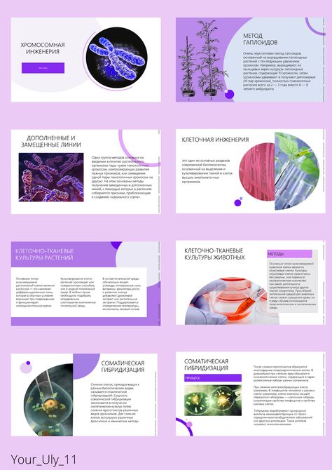 Science Presentation Ideas, Microbiology Powerpoint Template, Scientific Powerpoint Design, Powerpoint Science Presentation, Powerpoint Design Science, Science Presentation Template, Biology Powerpoint Templates, Biology Presentation Design, Science Presentation Background