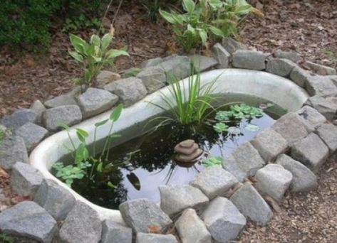 Top 10 Ways To Recycle and Reuse Bathtubs - The top 10 of Anything and Everything!!! Bathtub Recycle Ideas, Garden Bathtub, Old Bathtub, Garden Sink, Aquatic Garden, Spring Outdoor, Water Pond, Fish Ponds, Fountains Outdoor