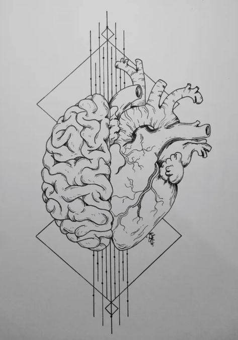 Brain Tattoo, Brain Art, Human Heart, Art Drawings Sketches Creative, Pencil Art Drawings, Dynamic Duo, Anatomy Art, Art Drawings Sketches Simple, Cool Art Drawings