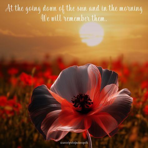 Today, we honour and remember the brave soldiers on Anzac Day 🫶🏻 They shall grow not old, as we that are left grow old; Age shall not weary them, nor the years condemn. At the going down of the sun and in the morning We will remember them. 𝓛𝓮𝓼𝓽 𝔀𝓮 𝓯𝓸𝓻𝓰𝓮𝓽 💜 #givingthanks #anzacday #anzacspirit #wewillrememberthem #lestweforget We Will Remember Them, Grow Old, Anzac Day, Lest We Forget, Old Age, The Brave, Growing Old, Womens Health, In The Morning