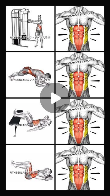 FITNESSLABO on Instagram: "✅ Oblique exercises 

① Cable Twist
② Hip Roll Plank 
③ Oblique Crunch 
④ Air Bike 

#workoutvideos 
#absworkout 
#fitness
#gym
#exercise 
#workout
#筋トレ
#ボディビル
#ボディメイク
#ワークアウト
#腹筋" Oblique Exercises, Air Bike, Gym Exercise, Fitness Gym, Cable, Twist, Bike, Gym, On Instagram