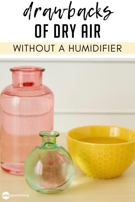 Dry Air In House Remedies, Diy Humidifier Homemade, Homemade Humidifier, Diy Humidifier, Oven Top, Room Humidifier, Dry Air, Healthier Hair, Indoor Air