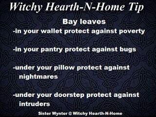 Bay Leaves - and in your shoe for safe travel or to win cases in court.  ;) Witch Tips, Witchy Tips, Which Witch, Creepy Vintage, Kitchen Witchery, Magick Spells, Magical Herbs, Witch Craft, Hedge Witch