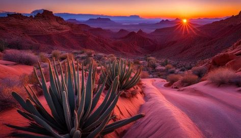 nevada desert landscapes Nevada Desert, Desert Landscapes, Agriculture Industry, Desert Mountains, Cultural Festival, Leisure Arts, Scenic Beauty, Desert Landscaping, Culture Travel