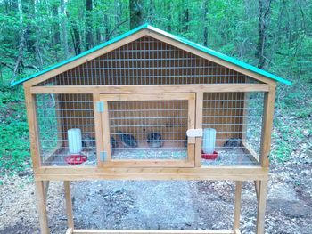 Show me you quail pens!!!                                                                                                                                                                                 More Quail Coop Diy, Diy Quail Cage, Diy Quail Coop, Quail Cage Plans, Quail Housing, Quail Coop Ideas Diy, Backyard Quail, Quail Pen, Quail House