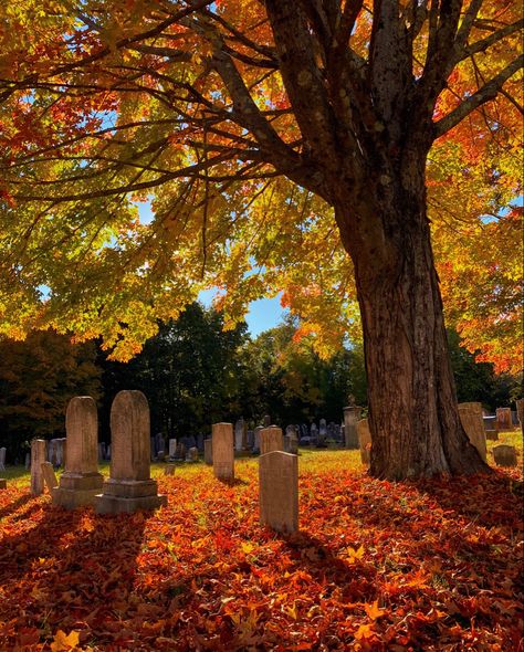 vsco - audreygoessling Autumn Cemetery, Autumn Town, November Rain, I Love Autumn, Love Autumn, Fall Weather, Autumn Halloween, Fall Foliage, Thanksgiving Dinner